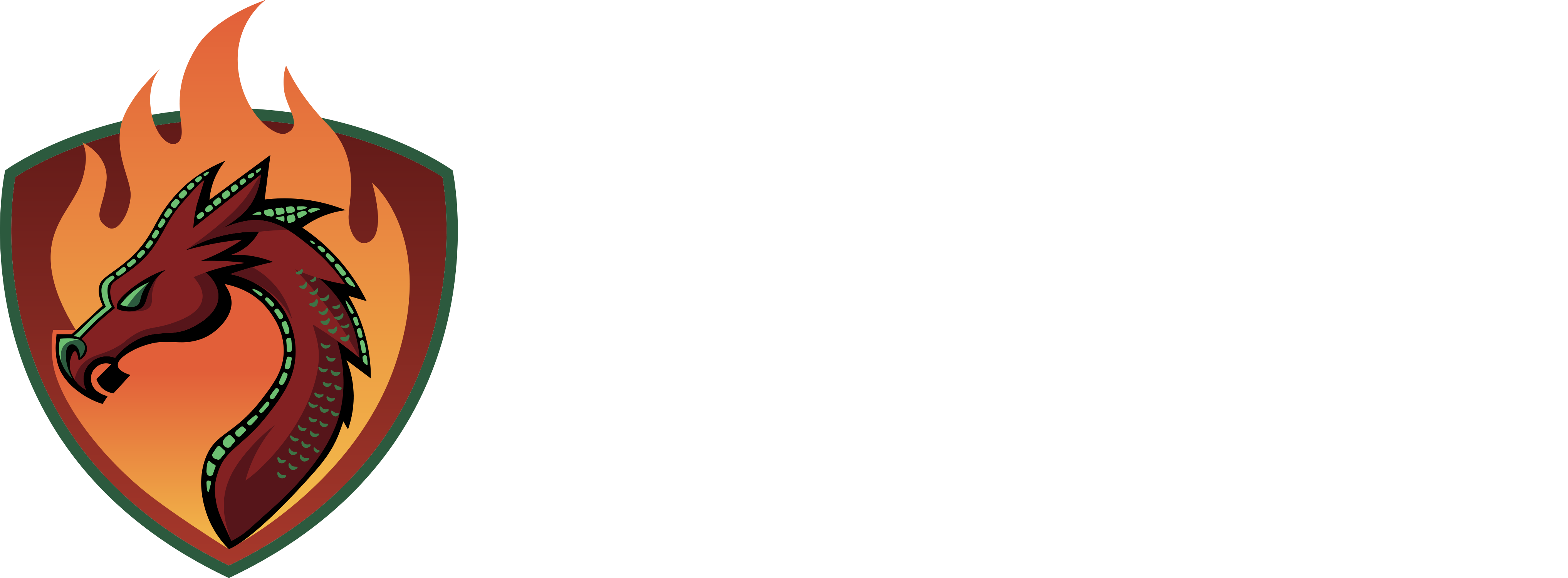Dragon Fire Stopping